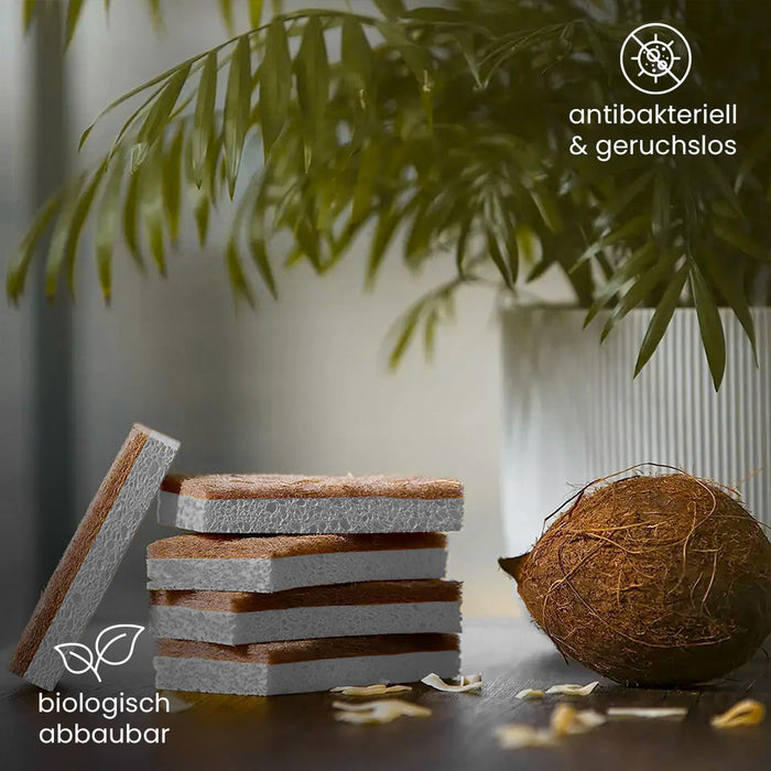 BiOHY Kokosschwämme