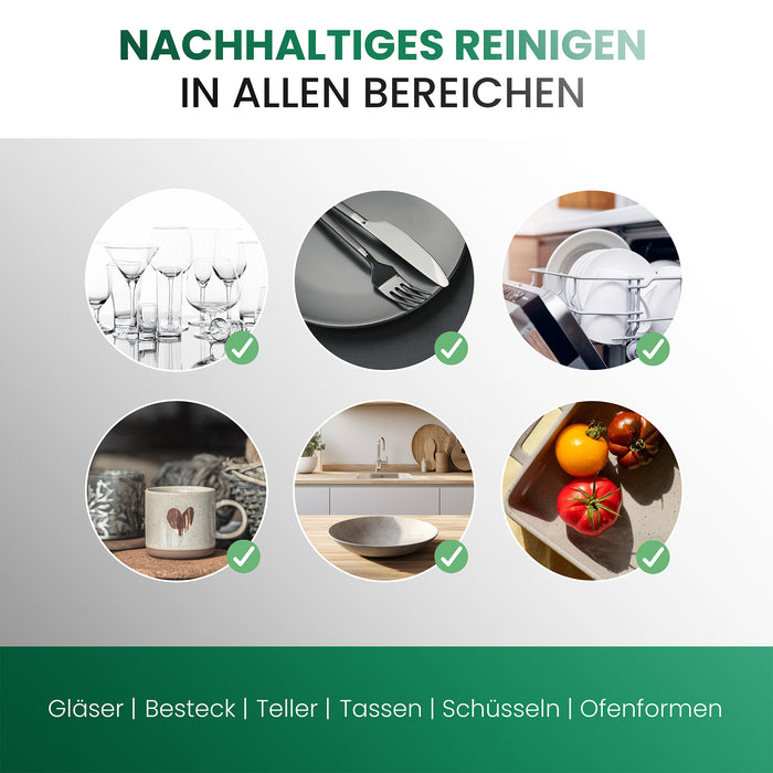 BiOHY Dishwashing Detergent, Dishwashing Liquid, Dishwashing Liquid, Organic Concentrate